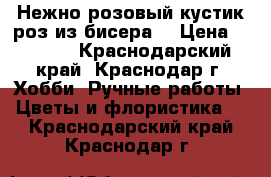 Нежно розовый кустик роз из бисера. › Цена ­ 1 000 - Краснодарский край, Краснодар г. Хобби. Ручные работы » Цветы и флористика   . Краснодарский край,Краснодар г.